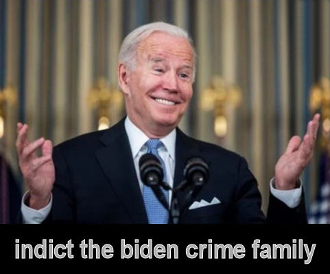 criminal activity114