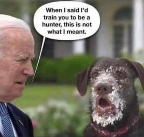 FB_IMG_1691632552251