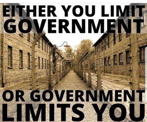 FB_IMG_1691794535675