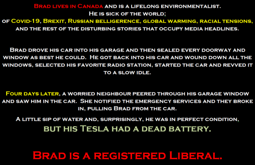 brad and the tesla