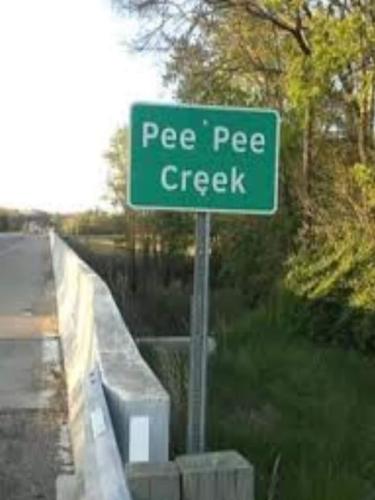 367392443_669769078412825_5514875657463926266_n