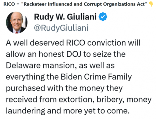 Guliana Rico convention