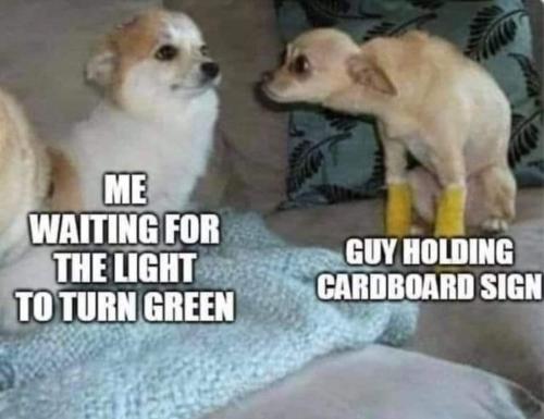 FB_IMG_1693236872804