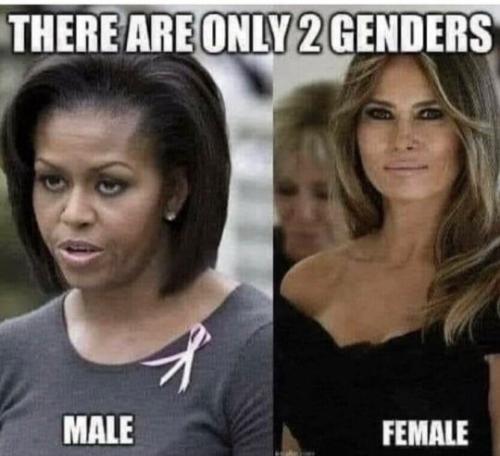 90048031-4090-40e7-bd8a-c2f38d1cd7be