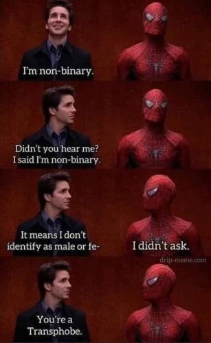 366022041_1289252071882114_2196764084554944000_n