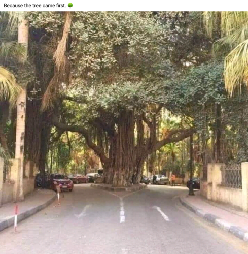 Screenshot_2023-08-05-12-05-03_kindlephoto-513154251