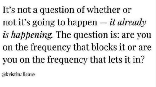 FB_IMG_1691160723311