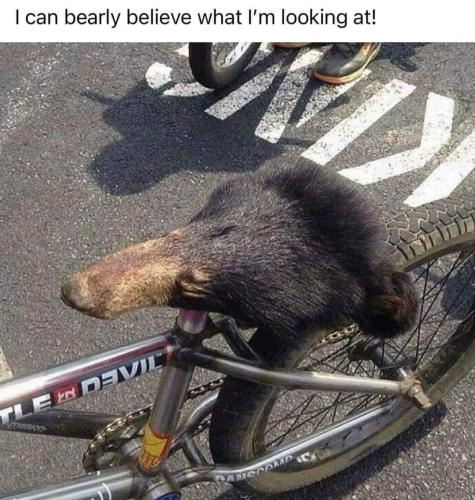 FB_IMG_1691857561197