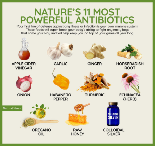 image_2023-08-08_155000888