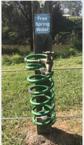 spring water