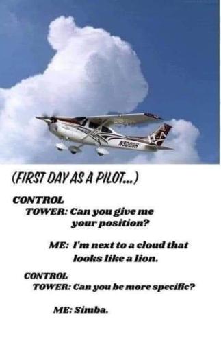 first day of a pilot