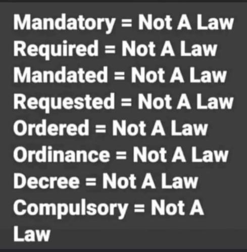 FB_IMG_1692748912154