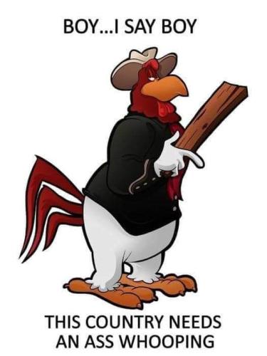 FB_IMG_1691121133685