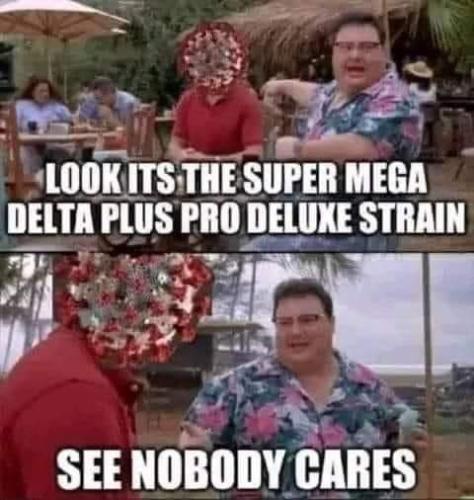 FB_IMG_1693011185918