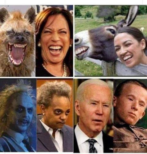 FB_IMG_1692042537983