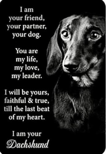 FB_IMG_1691720651861