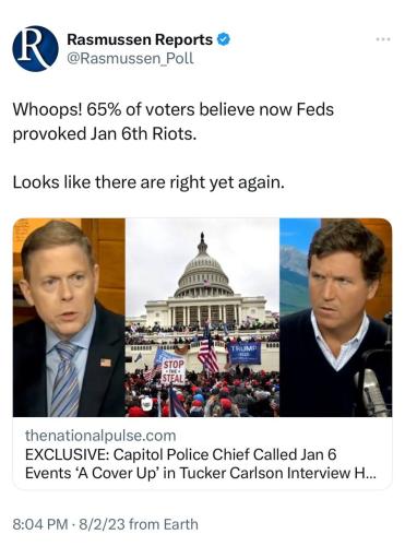 xephula_ae156ba8f0bd74c6beee91af2c7ae360