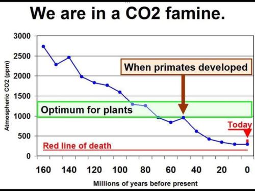 we are in a CO2 famine