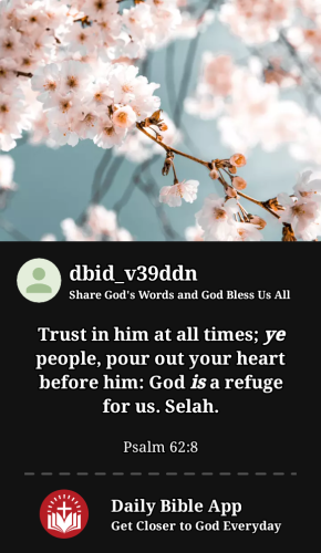 2023-08-151692154290885