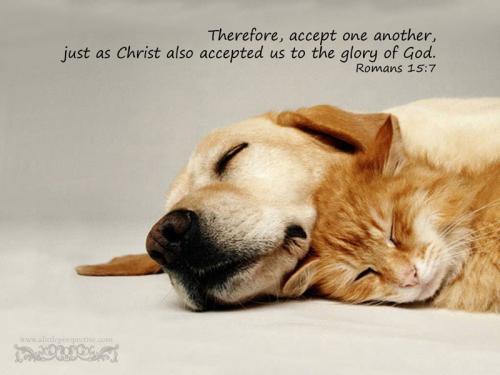 rom-15-7-web-watermarked