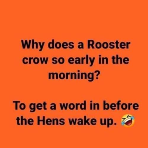 9f08adf0-d344-4e5f-aa29-1320fee0fecb