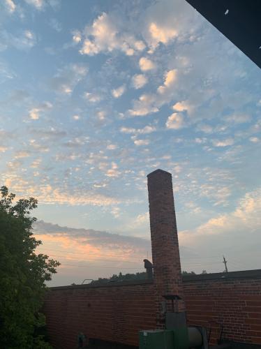 11084F4A-BDA8-4543-A016-67756D291BA0