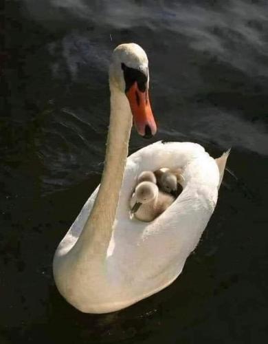 FB_IMG_1693097770309