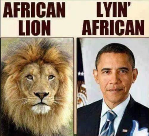 Screenshot_20230309_180644_Wimkin Free Speech Social Media