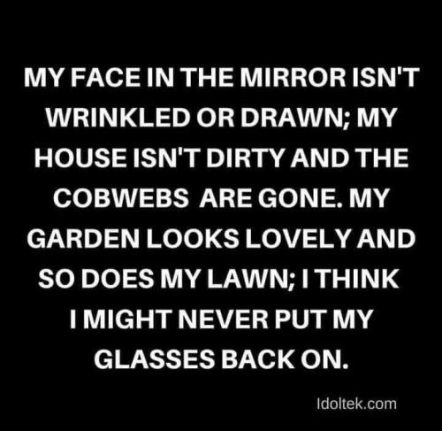 FB_IMG_1691892335341
