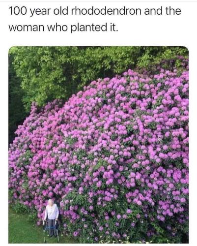 FB_IMG_1692353615812
