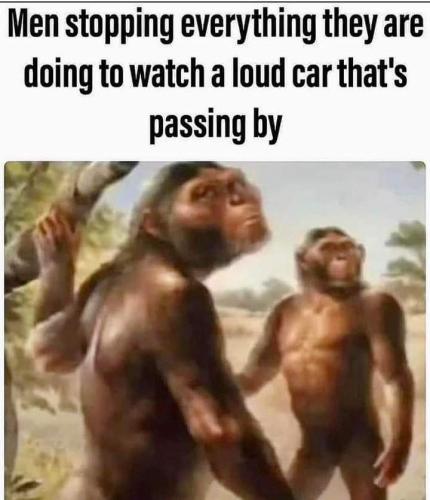 FB_IMG_1691495897158