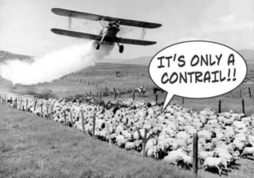 photo_2023-08-03_19-47-47