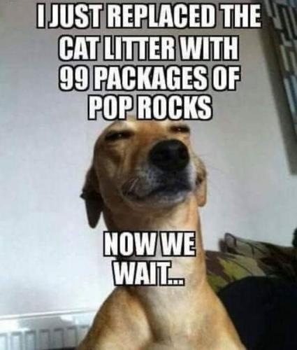 370342293_684110223747441_4068268796408216607_n