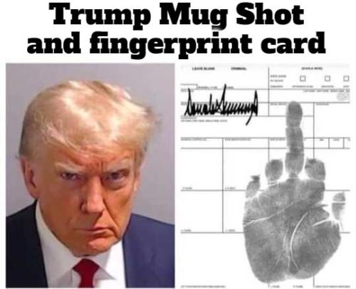 Trump mug shot and fingerprints card