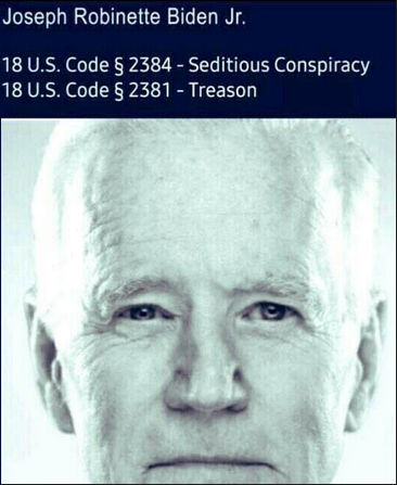 criminal activity110