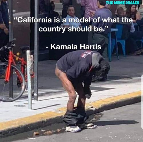 FB_IMG_1692716441393