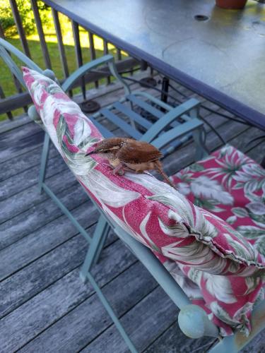 IMG_20220707_075919_MP