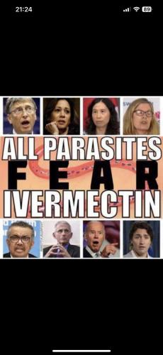 4ae12533-cea9-4275-9f22-0cdb5e2abdba