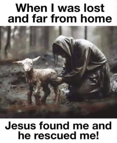 FB_IMG_1693446444646