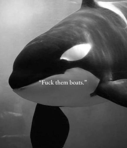 FB_IMG_1693038226510