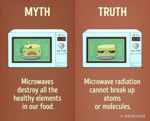 FACT13