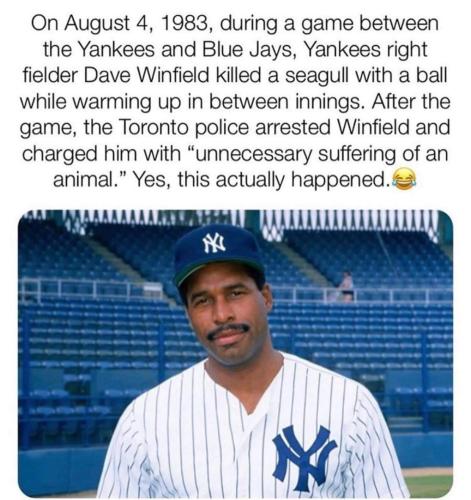 dave winfield