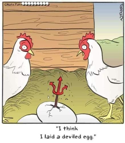 366661951_24442767278655678_5128289824991771014_n