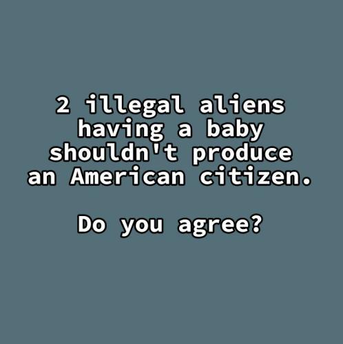 illegals producing citizen