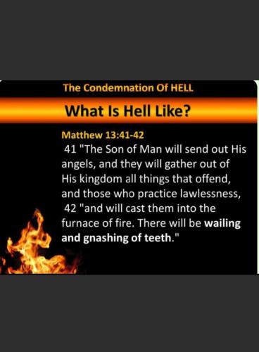 Screenshot_20230822_090326_MeWe