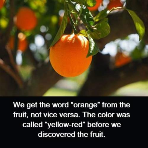FB_IMG_1693102837496