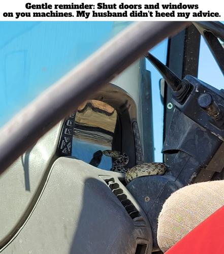 Somewhere in Montana