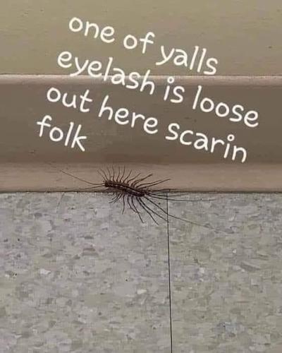 FB_IMG_1692214899413