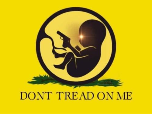 FB_IMG_1691632675214