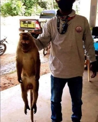 FB_IMG_1691775733465